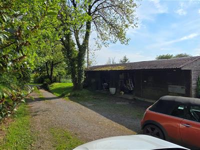 Picture 35